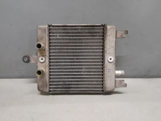 RADIADOR AGUA SUZUKI BURGMAN 125 07-13