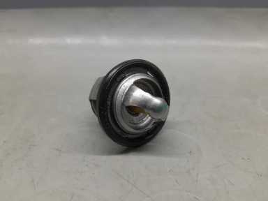 TERMOSTATO BMW G 310 GS (2016-2020)
