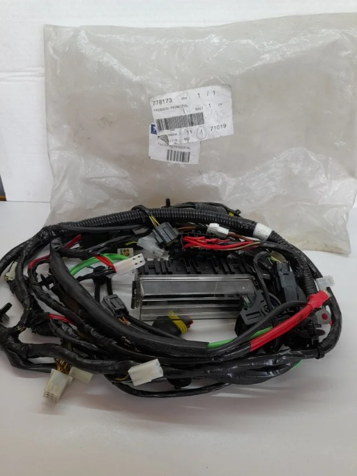 CABLEADO ELECTRICO PEUGEOT CITYSTAR 125 2011-2017
