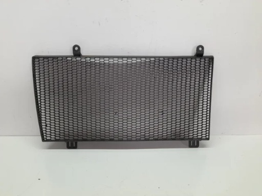 REJILLA RADIADOR BMW F800GS 08-15